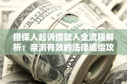 武汉担保人起诉借款人全流程解析：亲测有效的法律追偿攻略
