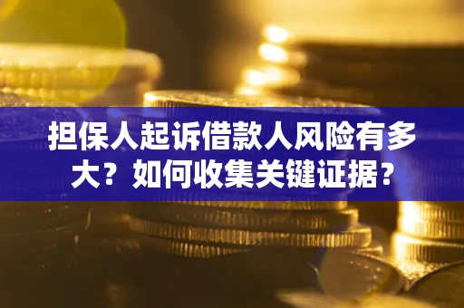 武汉担保人起诉借款人风险有多大？如何收集关键证据？