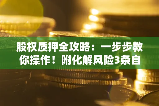 武汉股权质押全攻略：一步步教你操作！附化解风险3条自救法则