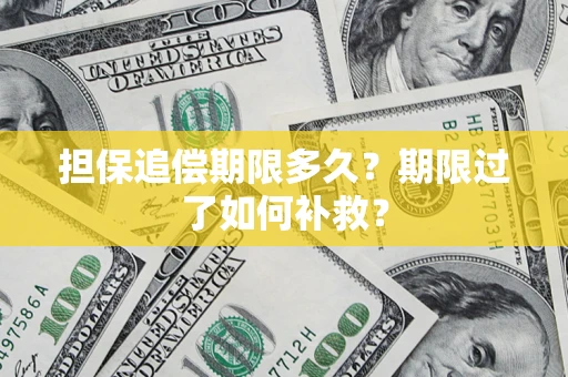 武汉担保追偿期限多久？期限过了如何补救？