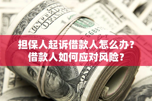 武汉担保人起诉借款人怎么办？借款人如何应对风险？