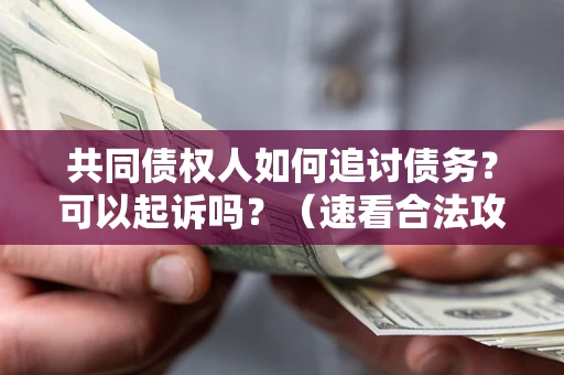 武汉共同债权人如何追讨债务？可以起诉吗？（速看合法攻略）