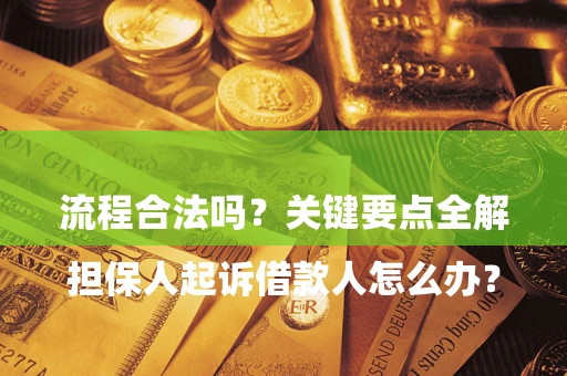 武汉

担保人起诉借款人怎么办？流程合法吗？关键要点全解析