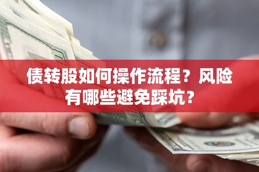 武汉债转股如何操作流程?风险有哪些避免踩坑? 武汉债转股如何操作流程?风险有哪些避免踩坑?